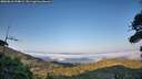 ./images/calvert/fitz-hugh-hecate/20260816/fitz-hugh-hecate20260816_194001M.jpg