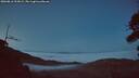 ./images/calvert/fitz-hugh-hecate/20260816/fitz-hugh-hecate20260816_213002M.jpg
