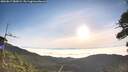 ./images/calvert/fitz-hugh-hecate/20260817/fitz-hugh-hecate20260817_080001M.jpg