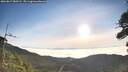 ./images/calvert/fitz-hugh-hecate/20260817/fitz-hugh-hecate20260817_080501M.jpg