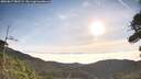 ./images/calvert/fitz-hugh-hecate/20260817/fitz-hugh-hecate20260817_082501M.jpg