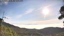 ./images/calvert/fitz-hugh-hecate/20260817/fitz-hugh-hecate20260817_084001M.jpg