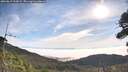 ./images/calvert/fitz-hugh-hecate/20260817/fitz-hugh-hecate20260817_093001M.jpg