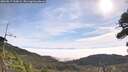 ./images/calvert/fitz-hugh-hecate/20260817/fitz-hugh-hecate20260817_100001M.jpg