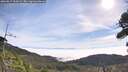 ./images/calvert/fitz-hugh-hecate/20260817/fitz-hugh-hecate20260817_101001M.jpg