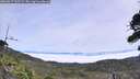 ./images/calvert/fitz-hugh-hecate/20260817/fitz-hugh-hecate20260817_123501M.jpg