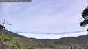 ./images/calvert/fitz-hugh-hecate/20260817/fitz-hugh-hecate20260817_124002M.jpg