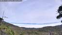 ./images/calvert/fitz-hugh-hecate/20260817/fitz-hugh-hecate20260817_124502M.jpg