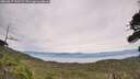 ./images/calvert/fitz-hugh-hecate/20260817/fitz-hugh-hecate20260817_151501M.jpg