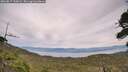 ./images/calvert/fitz-hugh-hecate/20260817/fitz-hugh-hecate20260817_155002M.jpg