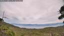./images/calvert/fitz-hugh-hecate/20260817/fitz-hugh-hecate20260817_160001M.jpg