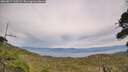 ./images/calvert/fitz-hugh-hecate/20260817/fitz-hugh-hecate20260817_162501M.jpg