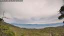 ./images/calvert/fitz-hugh-hecate/20260817/fitz-hugh-hecate20260817_163002M.jpg