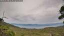 ./images/calvert/fitz-hugh-hecate/20260817/fitz-hugh-hecate20260817_173001M.jpg