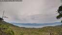 ./images/calvert/fitz-hugh-hecate/20260817/fitz-hugh-hecate20260817_173501M.jpg