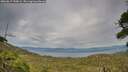 ./images/calvert/fitz-hugh-hecate/20260817/fitz-hugh-hecate20260817_190001M.jpg