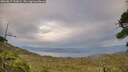 ./images/calvert/fitz-hugh-hecate/20260817/fitz-hugh-hecate20260817_193001M.jpg