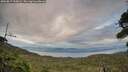 ./images/calvert/fitz-hugh-hecate/20260817/fitz-hugh-hecate20260817_200001M.jpg