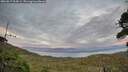 ./images/calvert/fitz-hugh-hecate/20260817/fitz-hugh-hecate20260817_204501M.jpg