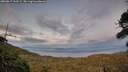 ./images/calvert/fitz-hugh-hecate/20260817/fitz-hugh-hecate20260817_210502M.jpg