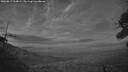 ./images/calvert/fitz-hugh-hecate/20260817/fitz-hugh-hecate20260817_213002M.jpg