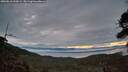 ./images/calvert/fitz-hugh-hecate/20260818/fitz-hugh-hecate20260818_060001M.jpg