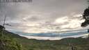 ./images/calvert/fitz-hugh-hecate/20260818/fitz-hugh-hecate20260818_081001M.jpg