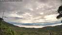 ./images/calvert/fitz-hugh-hecate/20260818/fitz-hugh-hecate20260818_081502M.jpg
