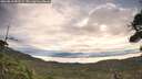 ./images/calvert/fitz-hugh-hecate/20260818/fitz-hugh-hecate20260818_083502M.jpg
