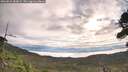 ./images/calvert/fitz-hugh-hecate/20260818/fitz-hugh-hecate20260818_084001M.jpg