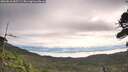 ./images/calvert/fitz-hugh-hecate/20260818/fitz-hugh-hecate20260818_085501M.jpg