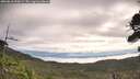 ./images/calvert/fitz-hugh-hecate/20260818/fitz-hugh-hecate20260818_090001M.jpg