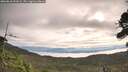 ./images/calvert/fitz-hugh-hecate/20260818/fitz-hugh-hecate20260818_091001M.jpg