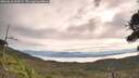 ./images/calvert/fitz-hugh-hecate/20260818/fitz-hugh-hecate20260818_092001M.jpg