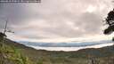 ./images/calvert/fitz-hugh-hecate/20260818/fitz-hugh-hecate20260818_093001M.jpg