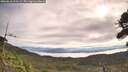 ./images/calvert/fitz-hugh-hecate/20260818/fitz-hugh-hecate20260818_093501M.jpg