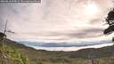 ./images/calvert/fitz-hugh-hecate/20260818/fitz-hugh-hecate20260818_094001M.jpg