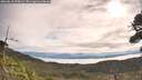 ./images/calvert/fitz-hugh-hecate/20260818/fitz-hugh-hecate20260818_095002M.jpg