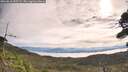 ./images/calvert/fitz-hugh-hecate/20260818/fitz-hugh-hecate20260818_095501M.jpg