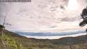 ./images/calvert/fitz-hugh-hecate/20260818/fitz-hugh-hecate20260818_100001M.jpg