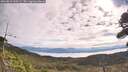 ./images/calvert/fitz-hugh-hecate/20260818/fitz-hugh-hecate20260818_100501M.jpg