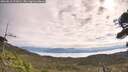 ./images/calvert/fitz-hugh-hecate/20260818/fitz-hugh-hecate20260818_101001M.jpg