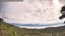 ./images/calvert/fitz-hugh-hecate/20260818/fitz-hugh-hecate20260818_101501M.jpg