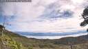 ./images/calvert/fitz-hugh-hecate/20260818/fitz-hugh-hecate20260818_102501M.jpg
