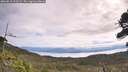 ./images/calvert/fitz-hugh-hecate/20260818/fitz-hugh-hecate20260818_103501M.jpg
