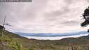 ./images/calvert/fitz-hugh-hecate/20260818/fitz-hugh-hecate20260818_104502M.jpg
