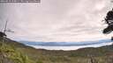 ./images/calvert/fitz-hugh-hecate/20260818/fitz-hugh-hecate20260818_105001M.jpg