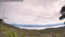 ./images/calvert/fitz-hugh-hecate/20260818/fitz-hugh-hecate20260818_110001M.jpg