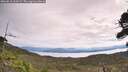 ./images/calvert/fitz-hugh-hecate/20260818/fitz-hugh-hecate20260818_110501M.jpg