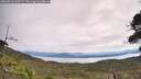 ./images/calvert/fitz-hugh-hecate/20260818/fitz-hugh-hecate20260818_113501M.jpg
